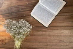 European Walnut Dining Room Table Top LiVe Edge UV Lacquered (with Resin) 35mm By 840mm By 1520mm 5 European Walnut Dining Room Table Top LiVe Edge UV Lacquered (with Resin) 35mm By 840mm By 1520mm -WoodandBeyond walnutwithresin 3 5